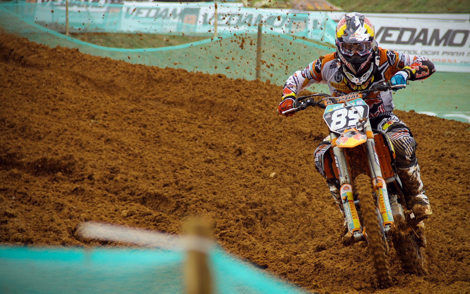 伦纳德化身北境巨熊，撕碎黄蜂的每一次抵抗